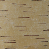 Miniature Betula papyrifera