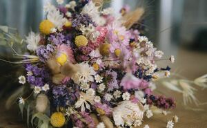 Photo Fleuristerie :  100 plantes pour bouquets secs