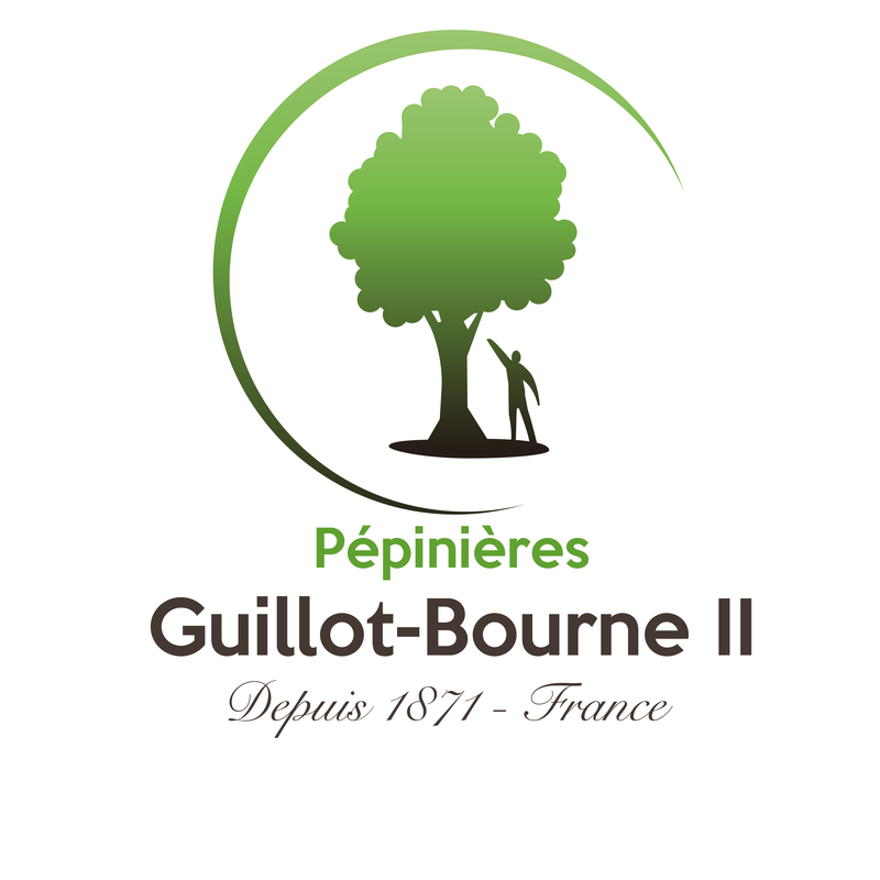 Photo Pépinières Guillot-Bourne II
